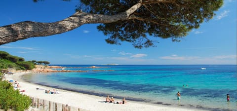 Camping Porto Vecchio Campground/ 
RV Resort in Zonza