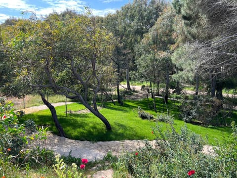 Garden, Garden view, Parking