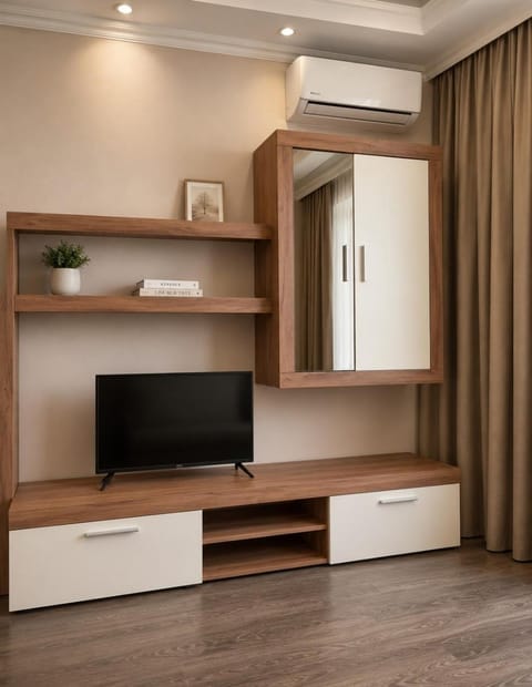 TV and multimedia