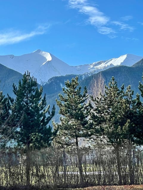 View (from property/room), Mountain view