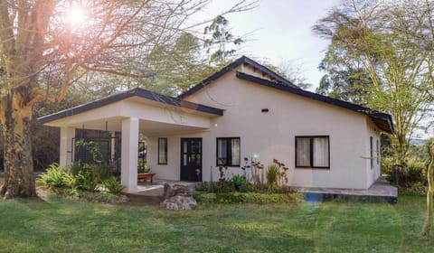 Property building, Patio, Facade/entrance, Garden