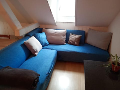 Gemütliche Dachwohnung Vacation rental in St. Gallen