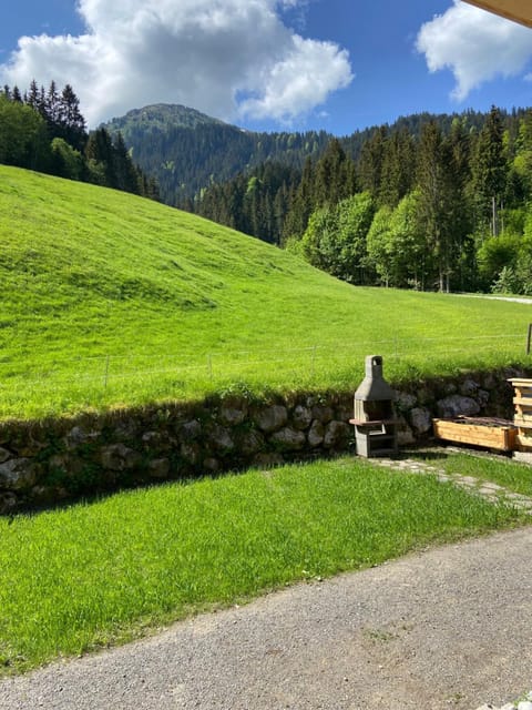 Day, Natural landscape, BBQ facilities, Garden, Garden view