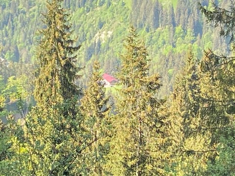 Property building, Day, Natural landscape