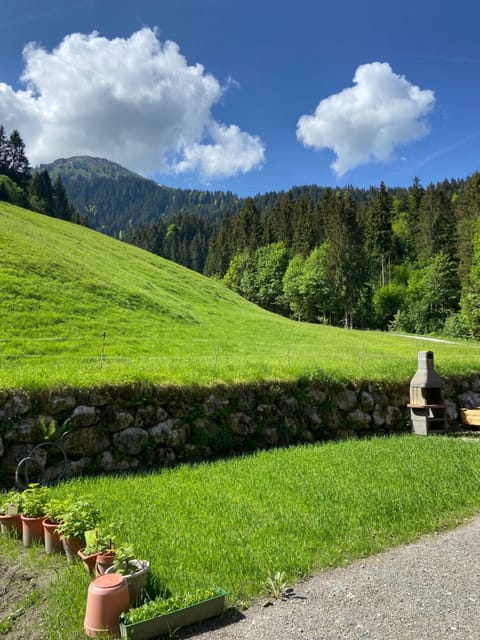 Staff, Natural landscape, BBQ facilities, Garden