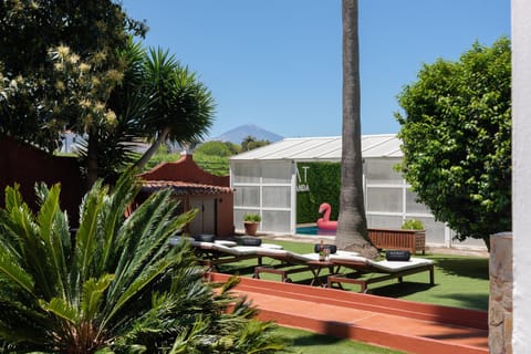 Day, Garden, Garden view, Swimming pool, sunbed