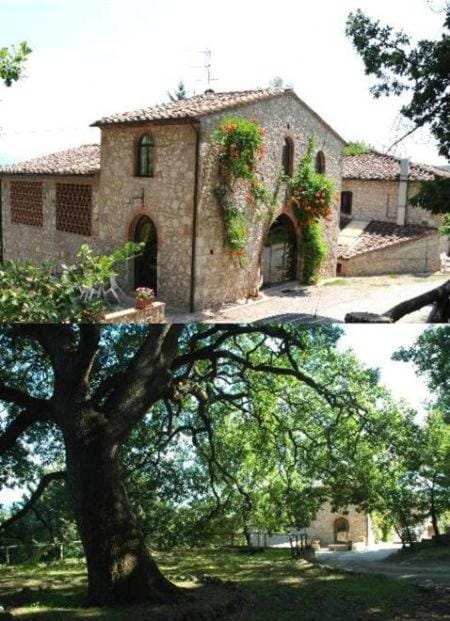 Facade/entrance, Area and facilities