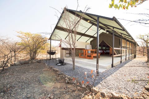 Patio, Day, Natural landscape, Winter, BBQ facilities