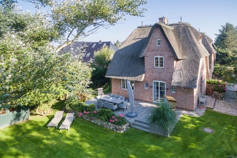 Bird's eye view, Garden