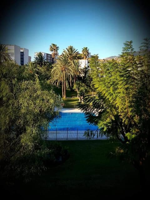 Garden, Garden view, Pool view