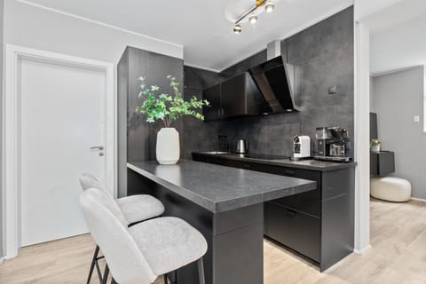 Kitchen or kitchenette, kitchen