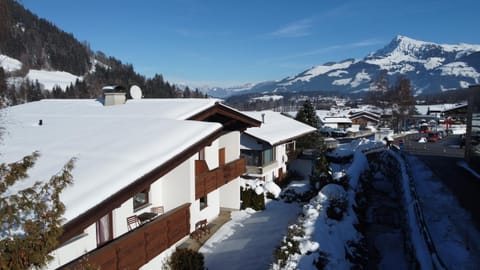 Fleckalm Chalets House in Salzburgerland