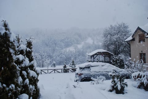 Apartment Winter Star 1 Apartment in Montenegro