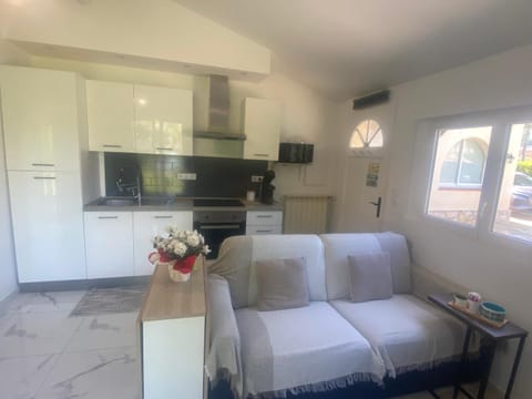 Studio climatisé avec piscine et jardin Apartment in Villeneuve-Loubet