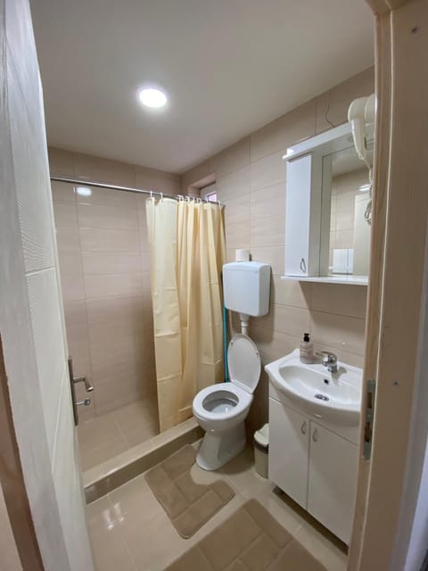 Vila Nika Apartment in Serbia