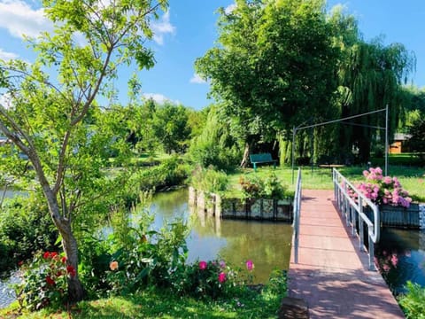 Spring, Day, Natural landscape, Garden