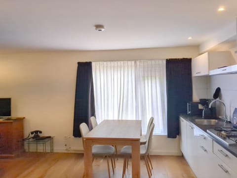 Kitchen or kitchenette, Dining area, stove