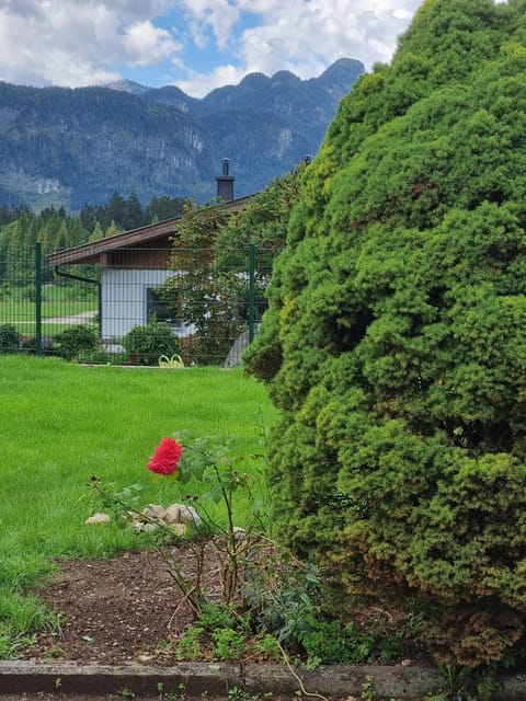 Garden, Mountain view