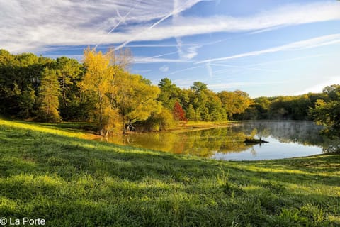 Natural landscape, Activities, Lake view
