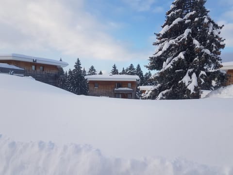Property building, Winter, Mountain view