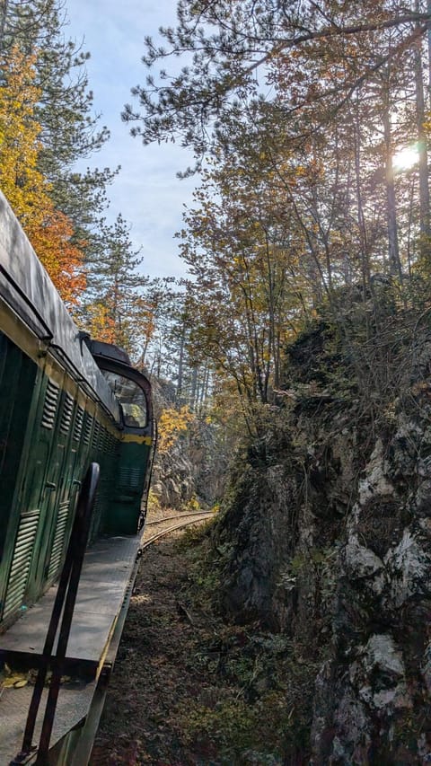 The Hunters Glamping Luxury tent in Serbia