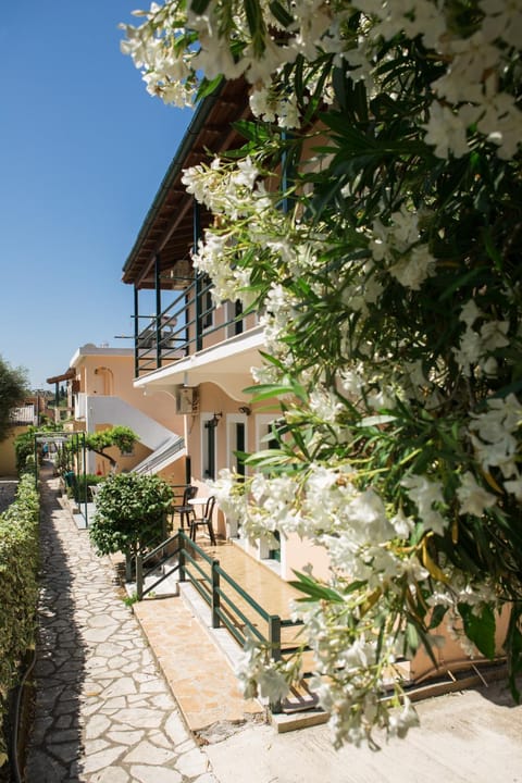 Property building, Spring, Day, Garden
