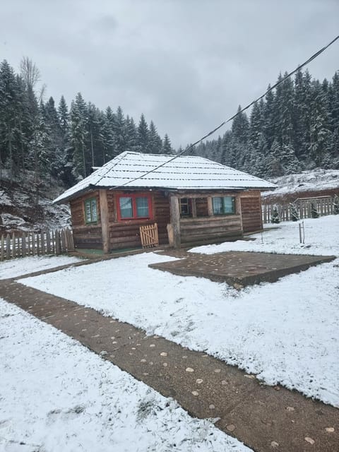 Property building, Winter