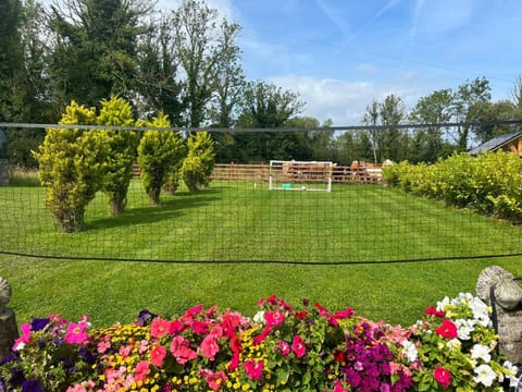 Pat's Cottage House in Leitrim, Co. Leitrim, Ireland