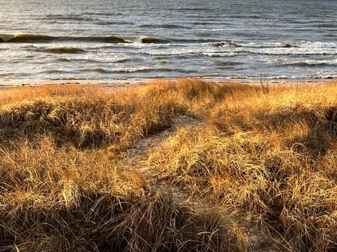 Natural landscape, Hiking