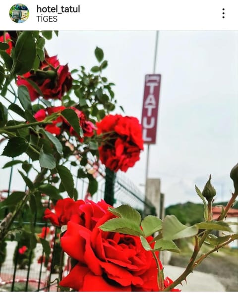 Hotel Tatul Apartment in Decentralized Administration of Macedonia and Thrace