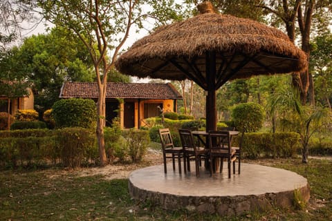 Patio, Garden, Garden, Balcony/Terrace, Balcony/Terrace