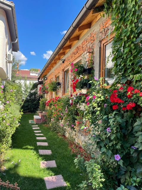 Property building, Patio, Facade/entrance, Garden