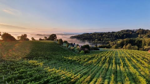 Natural landscape