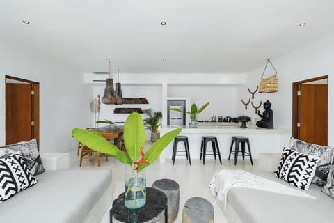 Living room, kitchen