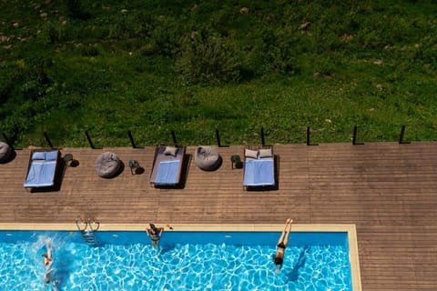 Natural landscape, Pool view, Swimming pool, group of guests, sunbed