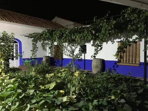 Patio, Garden
