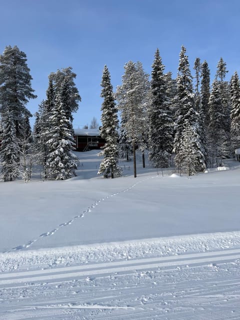 Neighbourhood, Natural landscape, Winter, Skiing, Skiing