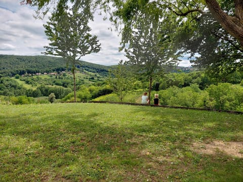 Property view