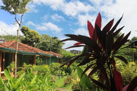 Property building, Garden