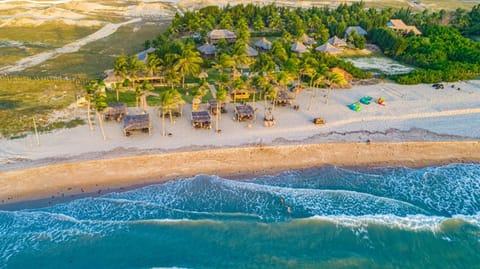 Bird's eye view, Beach