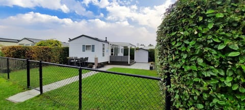 Patio, Garden, Garden view