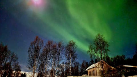 Natural landscape, Winter