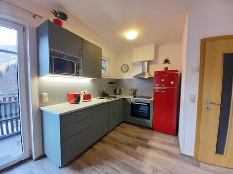 Kitchen or kitchenette, kitchen