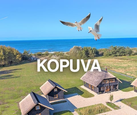 Property building, Bird's eye view