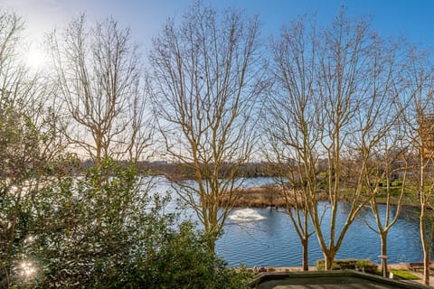 Lake view