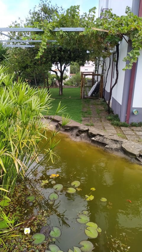 Garden, Lake view