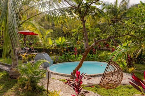 Day, Natural landscape, Garden, Garden view, Pool view, Swimming pool