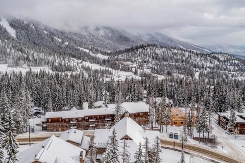 Altitude Adjustment Apartment in Whitefish