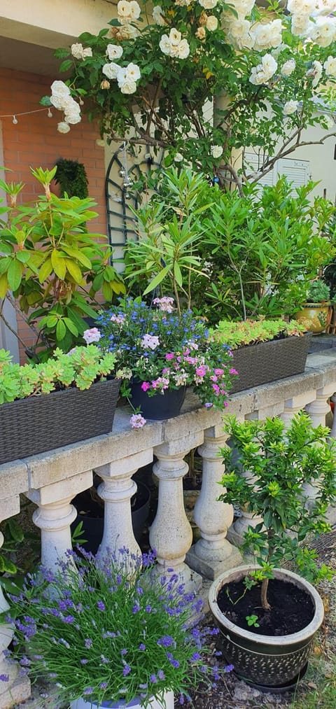 Hello Disneyland Paris House in Bussy-Saint-Georges