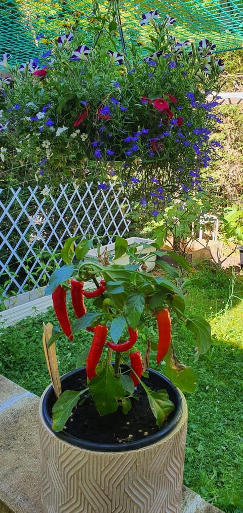 Hello Disneyland Paris House in Bussy-Saint-Georges